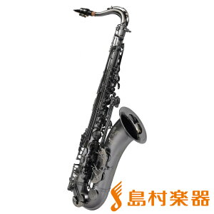 Cannonball T5B iceB ei[TbNX BIG BELL STONE SERIES Lm{[