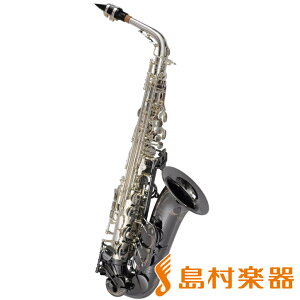 Cannonball GA5SB AgTbNX GERALDO ALBRIGHT SIGNATURE SERIES Lm{[