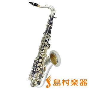 Cannonball T5HS ei[TbNX BIG BELL STONE SERIES Lm{[