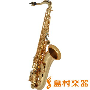 Cannonball TscepL ei[TbNX Sceptyr Semi-Professional Series Lm{[