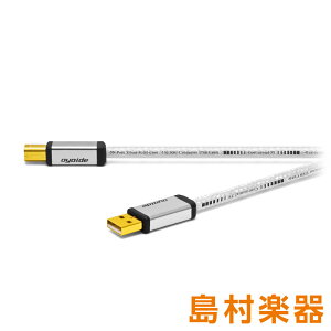 OYAIDE Continental 5SV2 y0.6mz Hi-Fi USBP[u (ARlN^-BRlN^(2.0)) ICfdC