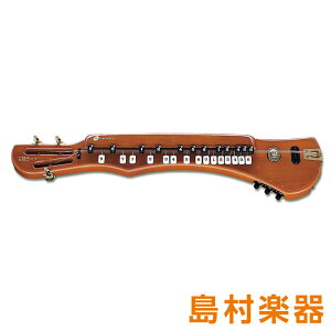 yyVX[p[SALE Gg[P5{z SUZUKI ͂^CvII dC吳 ͂ ^CvII XYL