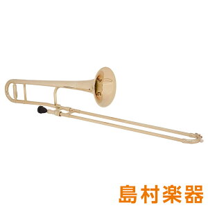 �y�}���\�����Ԓ� �G���g���[�ł����P5�{�z ZO TTB-08 �v���X�`�b�N�e�i�[�g�����{�[���^�׊� �V�����p���S�[���h