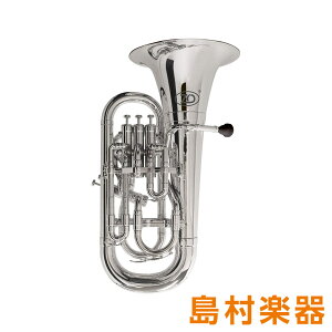 ZO EU-09 vX`bN[tHjA Vo[ v