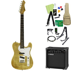 AriaProII 615-AE200 GLM^[S14_Zbgy}nAvtz eLX^Cv AAv2 yS҃Zbgz