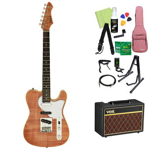 AriaProII 615-AE200 GLM^[S14_ZbgyVOXAvtz eLX^Cv AAv2 yS҃Zbgz