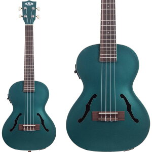 KALA KA-JTE ウクレレ テナー アーチトップ カラ ARTCH TOPシリーズ