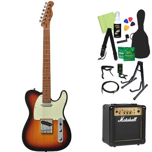 Bacchus BTE-1-RSM/M GLM^[S14_Zbg y}[VAvtz eLX^Cv [XebhCvlbN obJX yS҃Zbgz