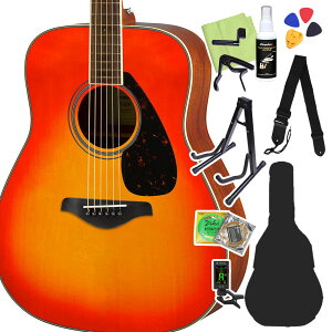 YAMAHA FS820/FG820 �x�[�V�b�N�Z�b�g �A�R�[�X�e�B�b�N�M�^�[ ���S�҃Z�b�g ���}�n