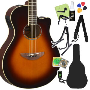 YAMAHA APX600 �A�R�[�X�e�B�b�N�M�^�[���S��12�_�Z�b�g ���}�n