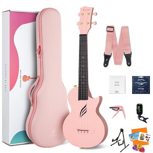�y���Ԍ���SALE 5/17�܂Łz ENYA NOVA U Concert �R���T�[�g�E�N�������S��10�_�Z�b�g �������K�i �`���[�i�[ �X�^���h �G���� �y���r���[��Low-G���v���[���g!�z