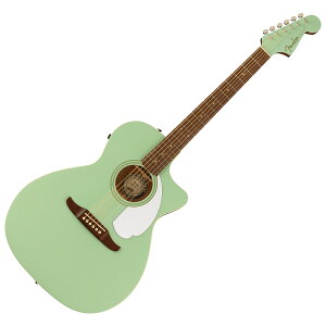 �y�}���\�����Ԓ� �G���g���[�ł����P5�{�z Fender Newporter Player �G���A�R�M�^�[ �g�b�v�P�� California �J���t�H���j�A�V���[�Y �t�F���_�[