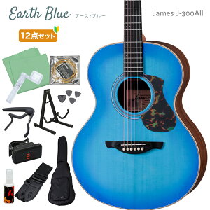James J-300AII PiES12_Zbg AR[XeBbNM^[ gbvP AWX^uTh ȒP WF[X J300AII yr[ŃM^[ȏWv[gz