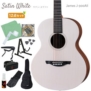 �y�}���\�����Ԓ� �G���g���[�ł����P5�{�z James J-300AII �P�i�E���S��12�_�Z�b�g �A�R�[�X�e�B�b�N�M�^�[ �g�b�v�P�� �A�W���X�^�u���T�h�� �ȒP�������� �W�F�[���X J300AII �y���r���[�ŃT