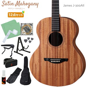 James J-300AII �P�i�E���S��12�_�Z�b�g �A�R�[�X�e�B�b�N�M�^�[ �g�b�v�P�� �A�W���X�^�u���T�h�� �ȒP�������� �W�F�[���X J300AII �y���r���[�ŃM�^�[�ȏW�v���[���g�z