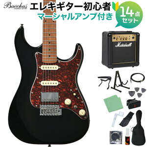 Bacchus GS-2DX RSM/M �I�ׂ�A���v���S�҃Z�b�g �G���L�M�^�[ ���j�o�[�X�V���[�Y �o�b�J�X