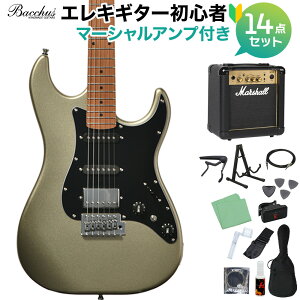 Bacchus GS-2DX RSM/M IׂAvS҃Zbg GLM^[ jo[XV[Y obJX