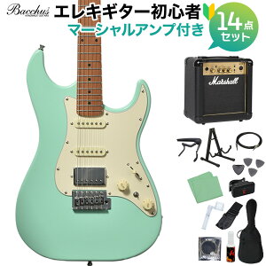 Bacchus GS-2DX RSM/M IׂAvS҃Zbg GLM^[ jo[XV[Y obJX