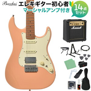 Bacchus GS-2DX RSM/M �I�ׂ�A���v���S�҃Z�b�g �G���L�M�^�[ ���j�o�[�X�V���[�Y �o�b�J�X