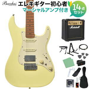 Bacchus GS-2DX RSM/M �I�ׂ�A���v���S�҃Z�b�g �G���L�M�^�[ ���j�o�[�X�V���[�Y �o�b�J�X