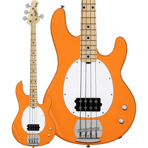 STERLING by Musicman SUB STINGRAY RAY2 GLx[X X^[