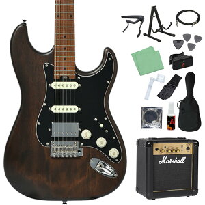 Bacchus BSH-850/RSM GLM^[S14_Zbgy}[VAvtz Xgg^Cv [XebhCvlbN obJX yS҃Zbgz