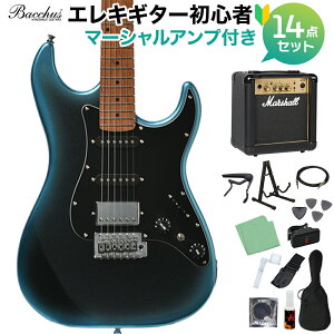 Bacchus GS-2DX RSM/M �I�ׂ�A���v���S�҃Z�b�g �G���L�M�^�[ ���j�o�[�X�V���[�Y �o�b�J�X