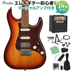Bacchus GS-2DX RSM/M �I�ׂ�A���v���S�҃Z�b�g �G���L�M�^�[ ���j�o�[�X�V���[�Y �o�b�J�X