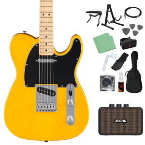 Fender Standard Telecaster GLM^[S14_Zbg y[d~jAvtz eLX^[ tF_[