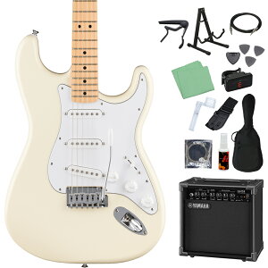 Fender Standard Stratocaster GLM^[S14_Zbg y}nAvtz XggLX^[ tF_[