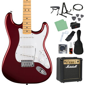 Fender Standard Stratocaster GLM^[S14_Zbgy}[VAvtz XggLX^[ tF_[
