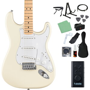 Fender Standard Stratocaster GLM^[S14_Zbg ywbhzAvtz XggLX^[ tF_[
