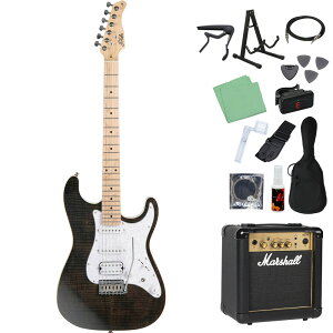 Sfida SST-650 GLM^[S14_Zbg y}[VAvtz tCCvgbv XggLX^[^Cv XtB[_