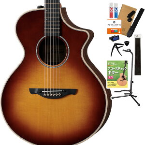 James J-300CII/Glossy �A�R�[�X�e�B�b�N�M�^�[ ���{�E�������p�i�t���Z���N�g14�_�Z�b�g ���S�҃Z�b�g �G���A�R �����G�t�F�N�g �g�b�v�P�� �g�b�v�O���X �W�F�[���X J300C II
