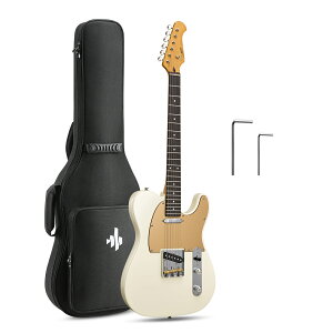 Donner DTL-600 �G���L�M�^�[ ���B���e�[�W�X�^�C�� �e���L���X�^�[�^�C�v �h�i�[
