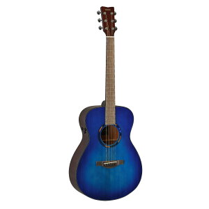 YAMAHA TAS1E �g�����X�A�R�[�X�e�B�b�N�M�^�[ �R���T�[�g�X�^�C�� �G���g���[���f�� ���}�n