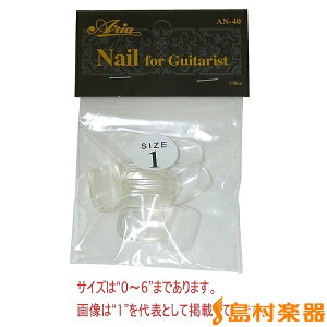 ARIA AN-40-1  M^Xgp AA