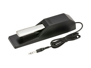 KORG DS-1H _p[y_ RO DS1H