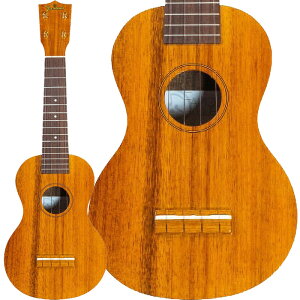 Famous FS-5 �\�v���m�E�N���� �n���C�A���R�A ���{�� �t�F�C�}�X FS5