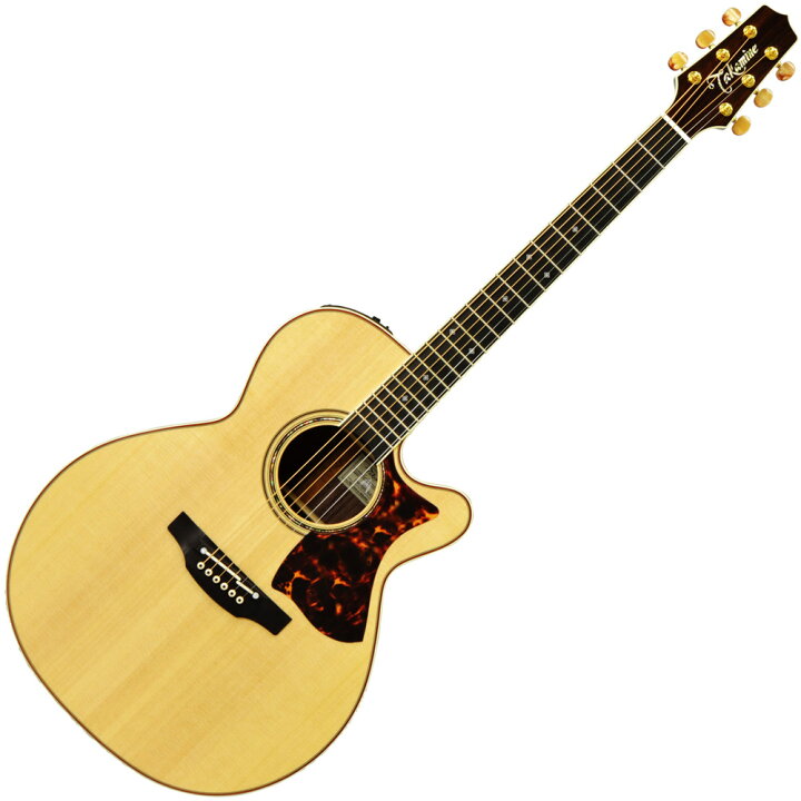 楽天市場】Takamine DMP50S NAT エレアコギター セミハードケース付属 