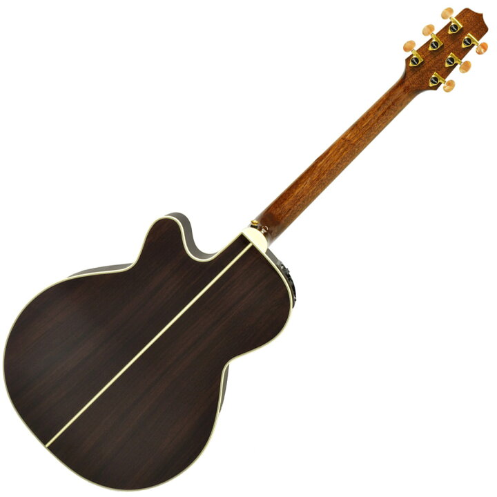 楽天市場】Takamine DMP50S NAT エレアコギター セミハードケース付属 