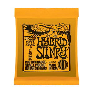 ERNiE BALL 2222 09-46 nCubhXL[ A[j[{[ GLM^[