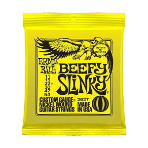 ERNiE BALL 2627 11-54 r[tB[XL[ A[j[{[ GLM^[