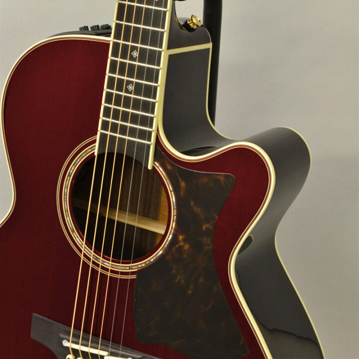 楽天市場】Takamine DMP50S WR エレアコギター セミハードケース付属 