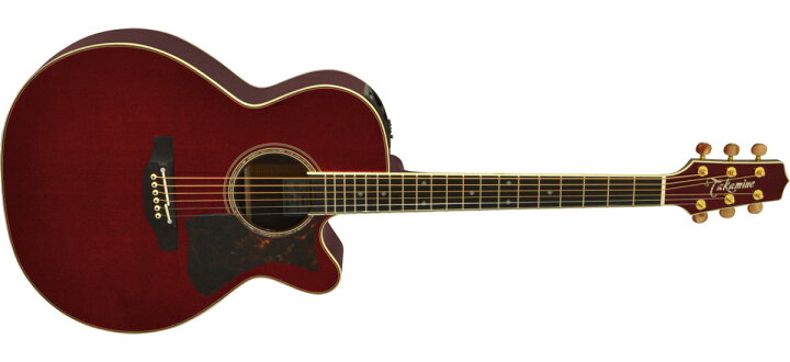 楽天市場】Takamine DMP50S WR エレアコギター セミハードケース付属 