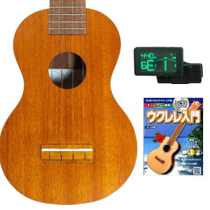 Famous FS-1 �G���g���[�Z�b�g �\�v���m�E�N���� ���S�҃Z�b�g ���� �t�F�C�}�X FS1