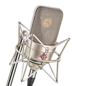 NEUMANN TLM 49 set X^WI}CNz mC} y󒍔 [1ȏ ̃LZsz