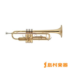 【3年保証】 J.Michael TR-380 ラッカー仕上げ B♭ トランペット Jマイケル TR380【WEBSHOP限定価格】