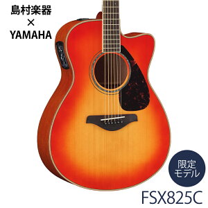 YAMAHA FSX825C AB(I[^o[Xg) AR[XeBbNM^[ yGARz }n yyz