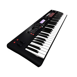 KORG KROSS2-61 MB (Super Matte Black) 61 VZTCU[ RO KROSS261